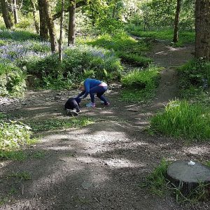 Forest school portfolio unit 3 image