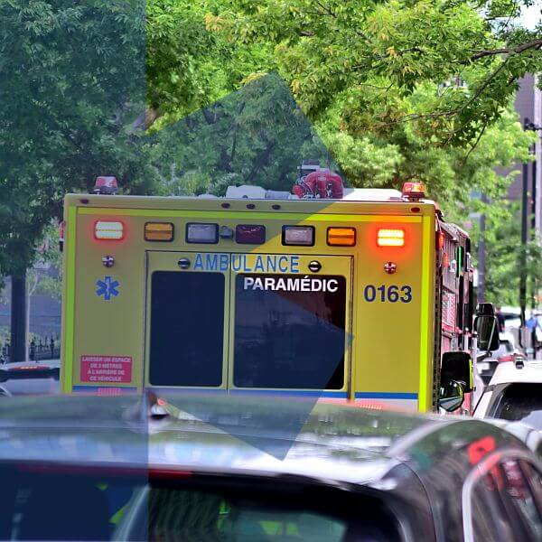 pexels-yvon-gallant-81432586-9463373