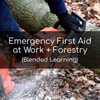 Image of a chainsaw cutting through a log in a woodland setting.