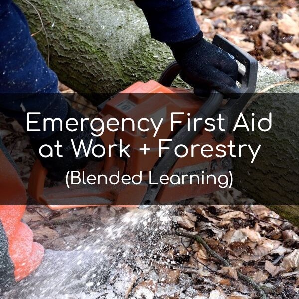 Image of a chainsaw cutting through a log in a woodland setting.