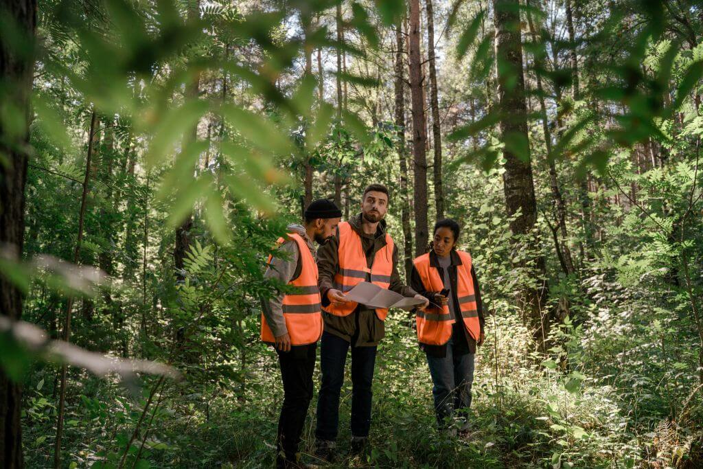 Woodland scene showing three people in dark casual clothing and hi-viz orange jackets looking at a plan on a large piece of paper. https://www.pexels.com/photo/search-party-for-missing-person-10365942/