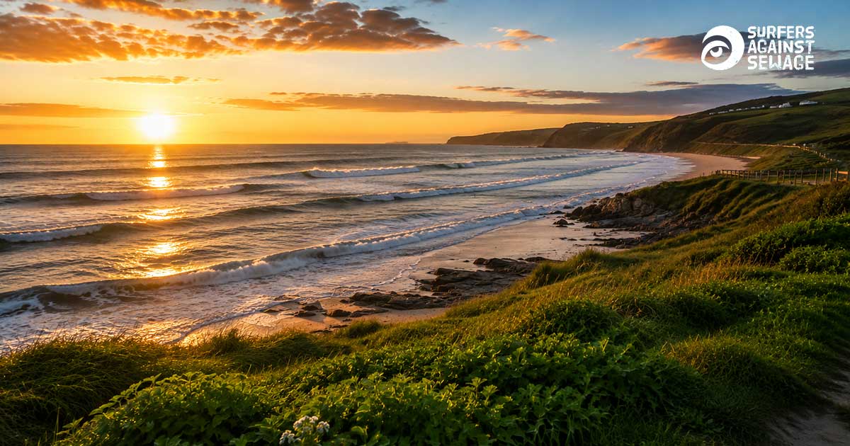 Beyond the Treeline: Why Corporate Compliance Protects UK Coastlines